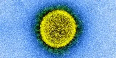 novel coronavirus, SARS-CoV-2