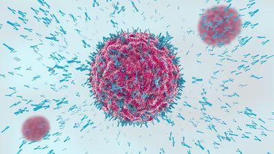 One Step Closer to Accurate Prediction of Antibody Delivery in Tumors