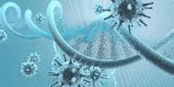 the genetics of COVID-19 risk