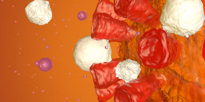 illustration of the immune system attacking COVID-19 virus