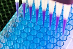 The Power of Predictive Biomarkers