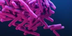 medical illustration of drug-resistant Mycobacterium tuberculosis bacteria