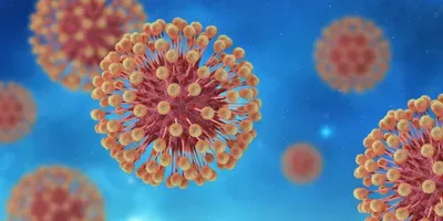 herpes virus illustration