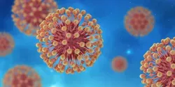 herpes virus illustration