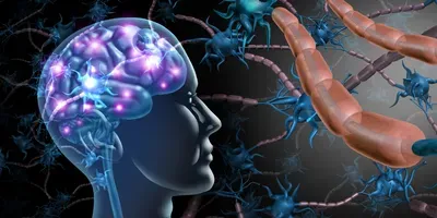 multiple sclerosis illustration