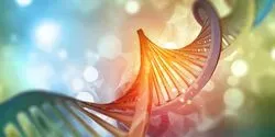 genetics of cancer
