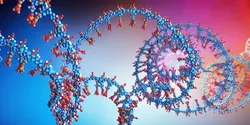 RNA