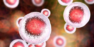 stem cell illustration