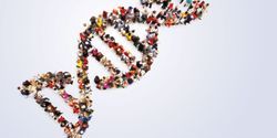 Why Greater Diversity is Needed in Genomic Research