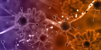 NIAID Establishes Centers for Research in Emerging Infectious Diseases
