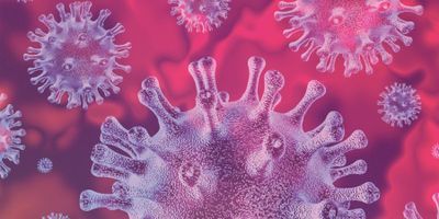 POCT for Blood Donation:
What Are the Risks and Benefits?