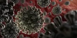 coronavirus illustration