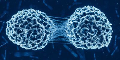 cancer cell division