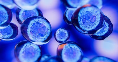 The Power of Multi-Omics at the Single-Cell Level