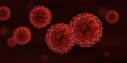 HIV cells dividing