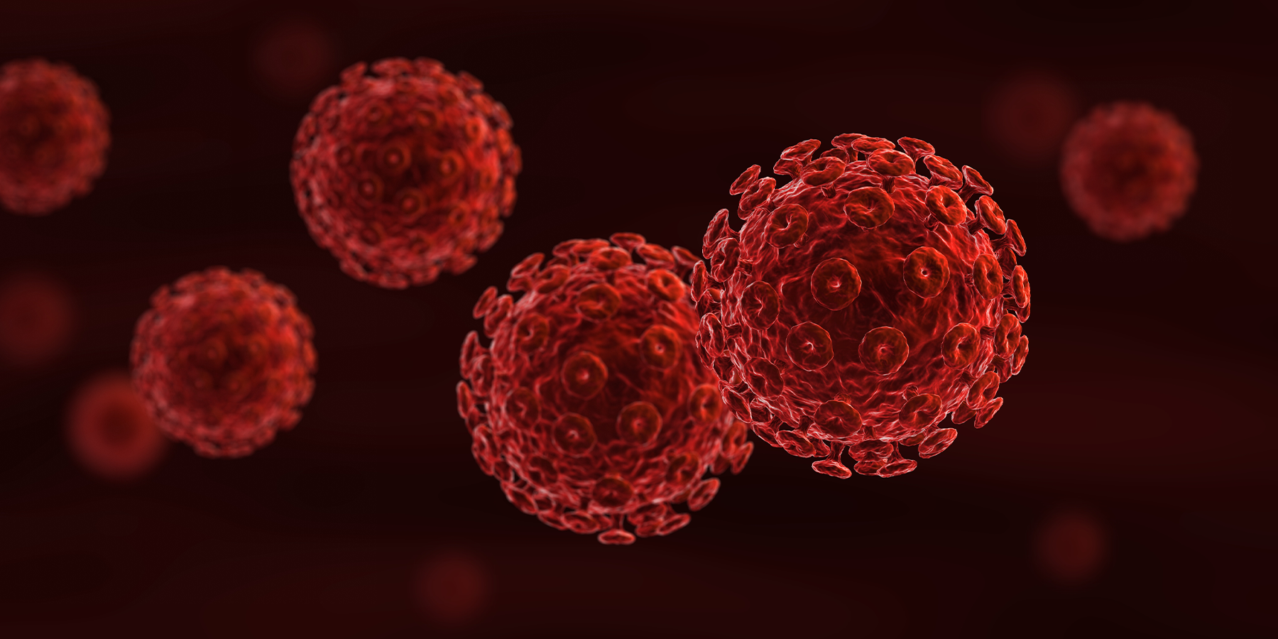 HIV cells dividing