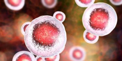 cell therapies