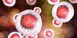cell therapies