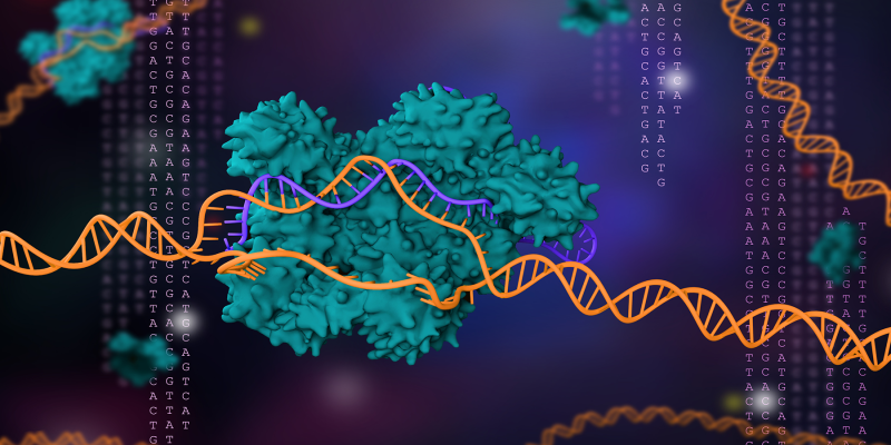 CRISPR Illustration CRISPR Illustration