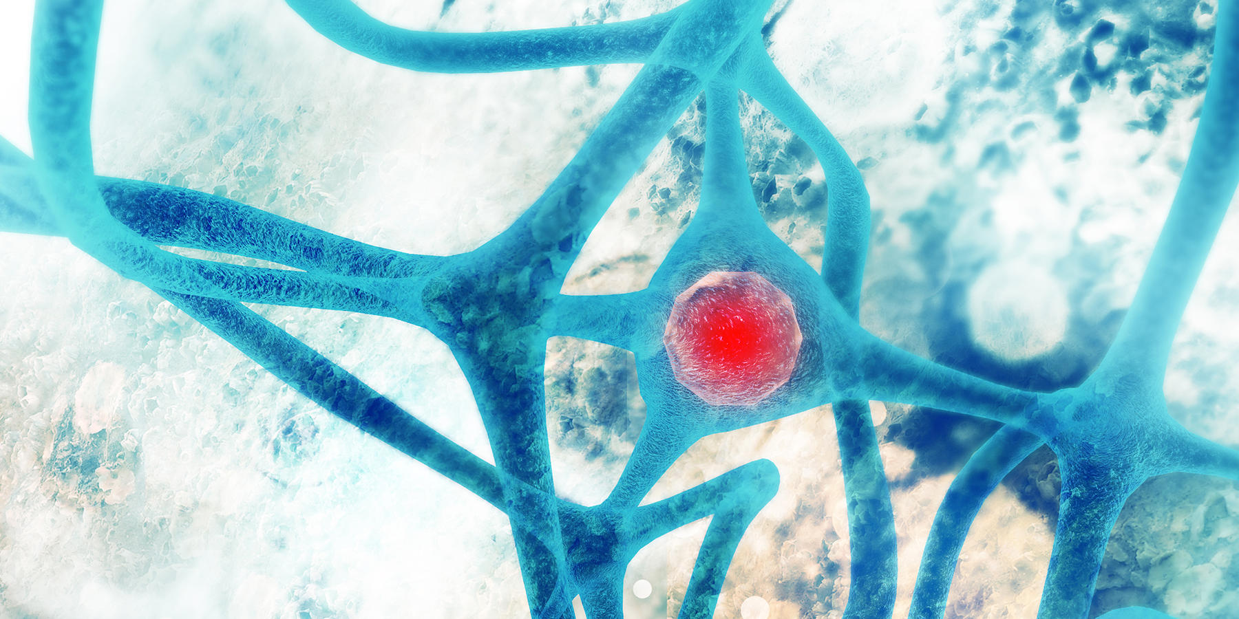 neuron