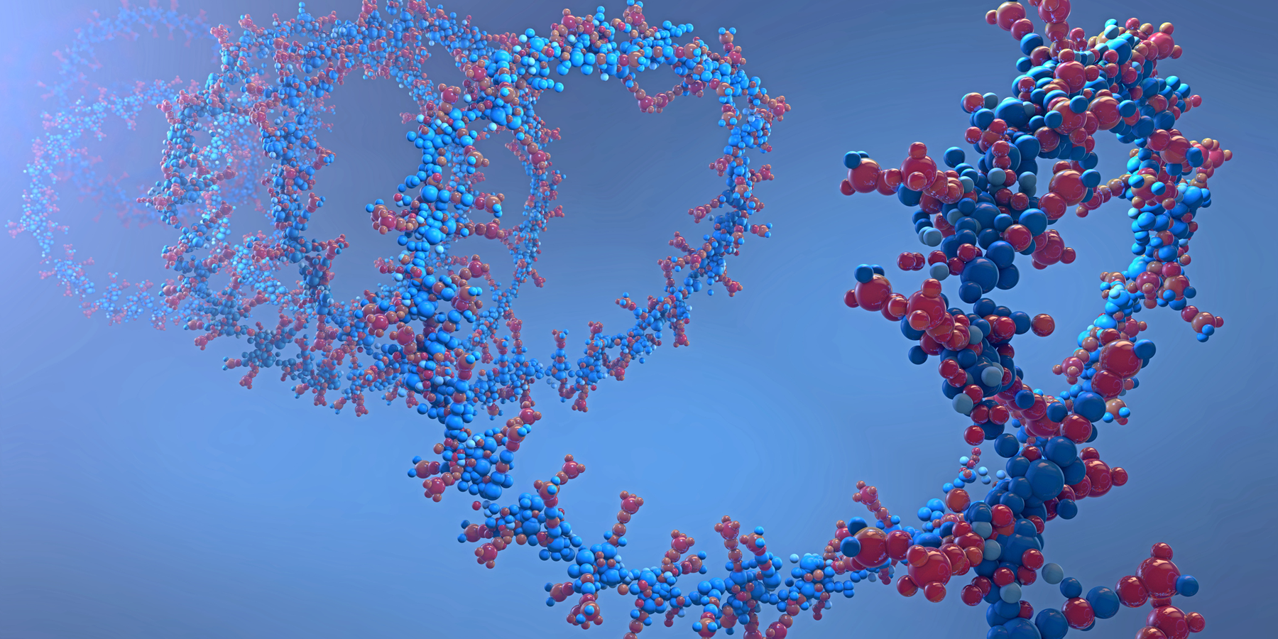 RNA strand RNA strand