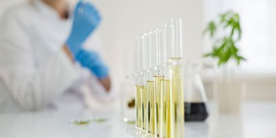 Cannabidiol Coronavirus