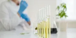 Cannabidiol Coronavirus