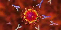 Coronavirus Antibodies Plasma Treatment