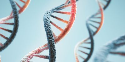 Coronavirus DNA strand genetic testing