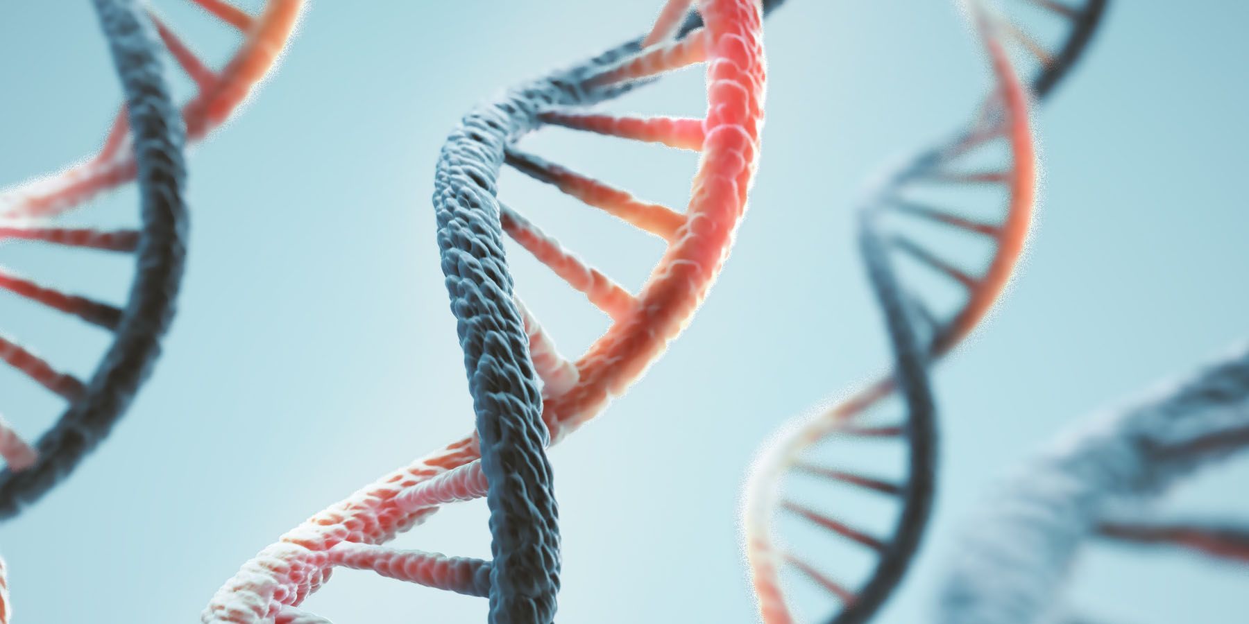 Coronavirus DNA strand genetic testing Coronavirus DNA strand genetic testing