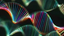 Viral mimicry DNA molecule