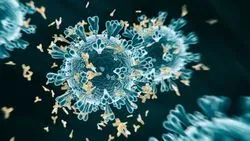 Coronaviruses viral mimicry