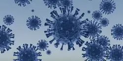 Coronavirus SARS-CoV-2 RNA PCR
