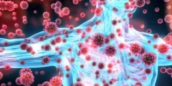 Seven forms of mild COVID-19