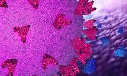 COVID antibodies sybody