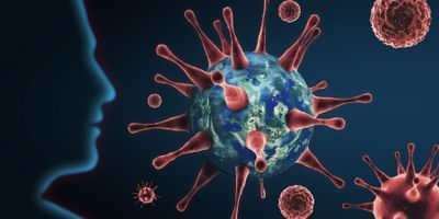 Coronavirus protective antibodies
