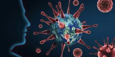 Coronavirus protective antibodies