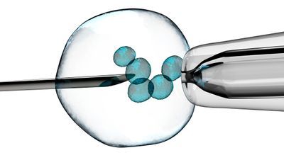 What to Consider When Choosing a Preimplantation Genetic Testing (PGT) Platform