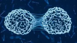 Image of cancer tumor cells