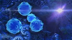Illustration of Circulating tumor cells