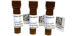 Bio-Rad Launches Three StarBright Dyes for Flow Cytometry
