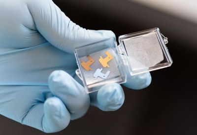 Lab personnel with gloves holding small microneedle patches used to extract interstitial fluid