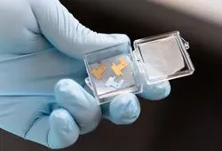 Lab personnel with gloves holding small microneedle patches used to extract interstitial fluid
