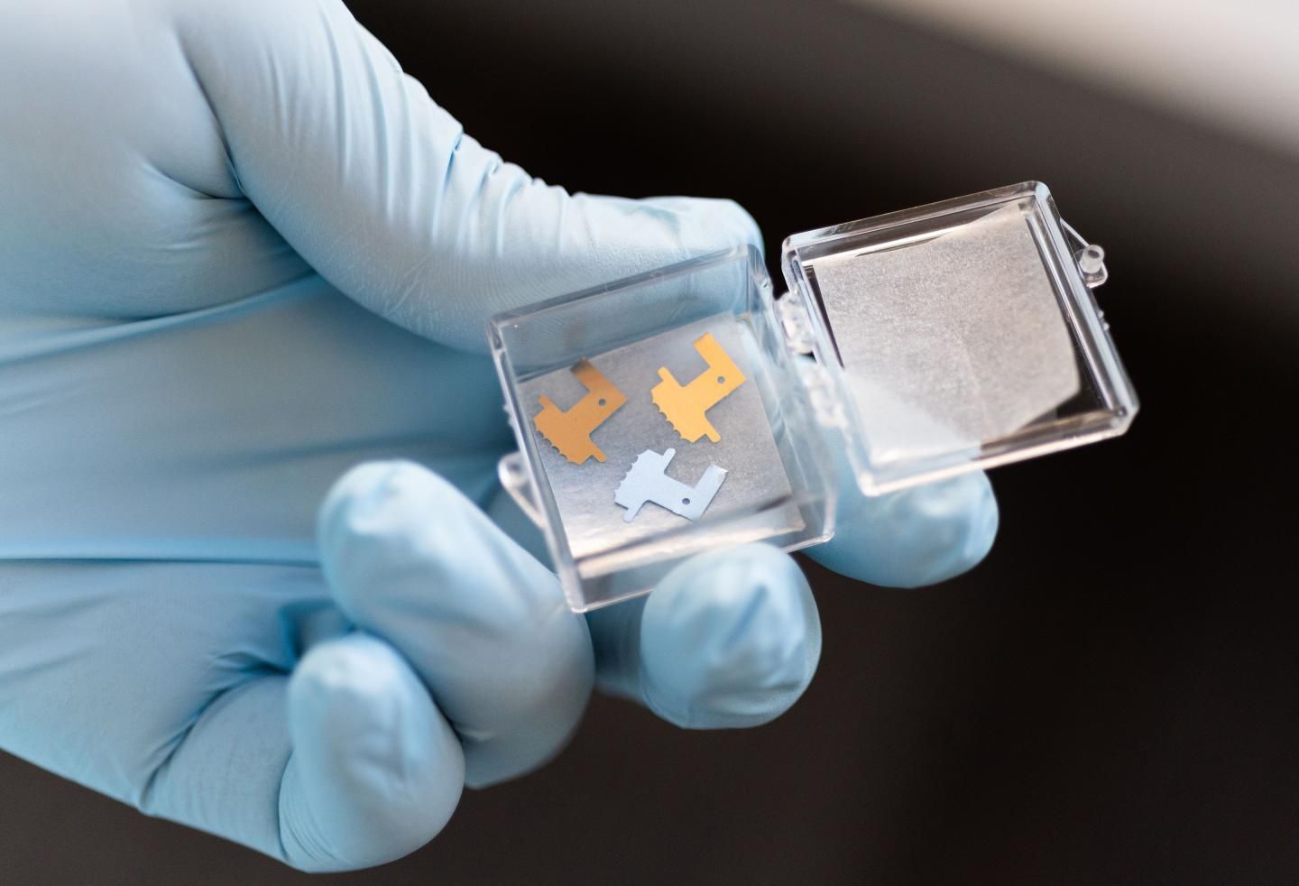 Lab personnel with gloves holding small microneedle patches used to extract interstitial fluid