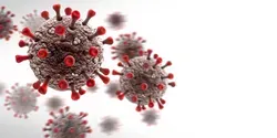 Coronavirus particles on white background