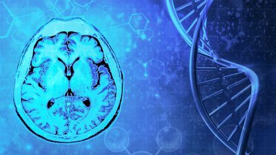 NGS Approaches for Diagnosing Neurological Diseases