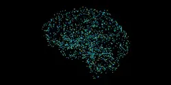 Representation of a pixellated brain on a black background