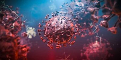 Illustration of a COVID-19 viral particle