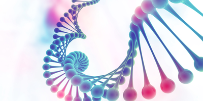 An illustration of a coil of DNA