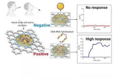 Diagram of the new COVID-19 electrochemical sensing platform